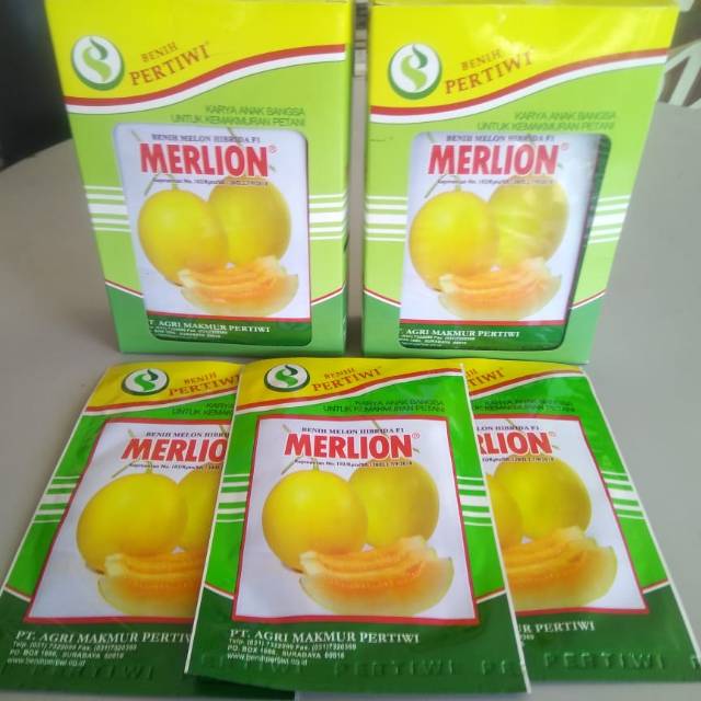 Melon "Golden" Kulit Kuning MERLION