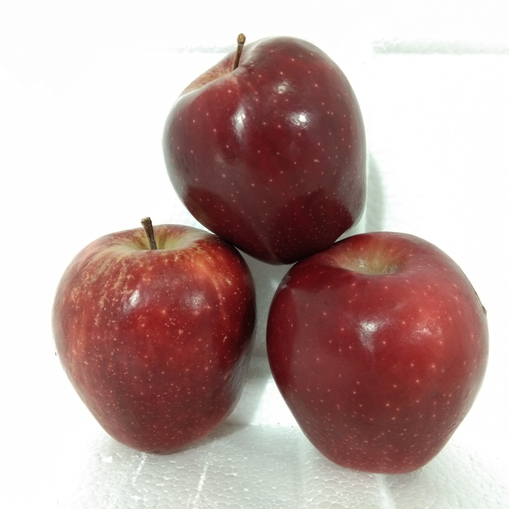 

BUAH APEL WASHINGTON / APEL MERAH