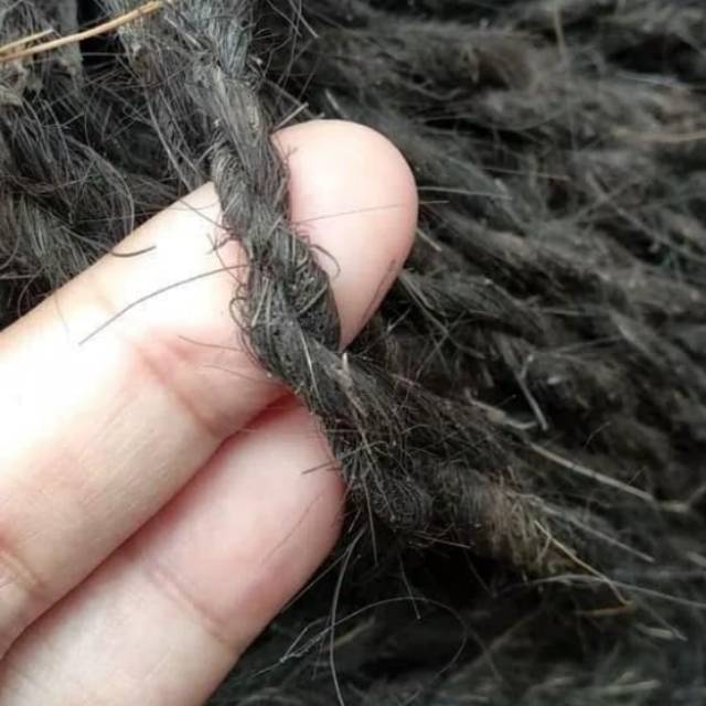 Tali ijuk pengikat anggrek - tali ijuk serbaguna - tali ijuk pengikat gajebo