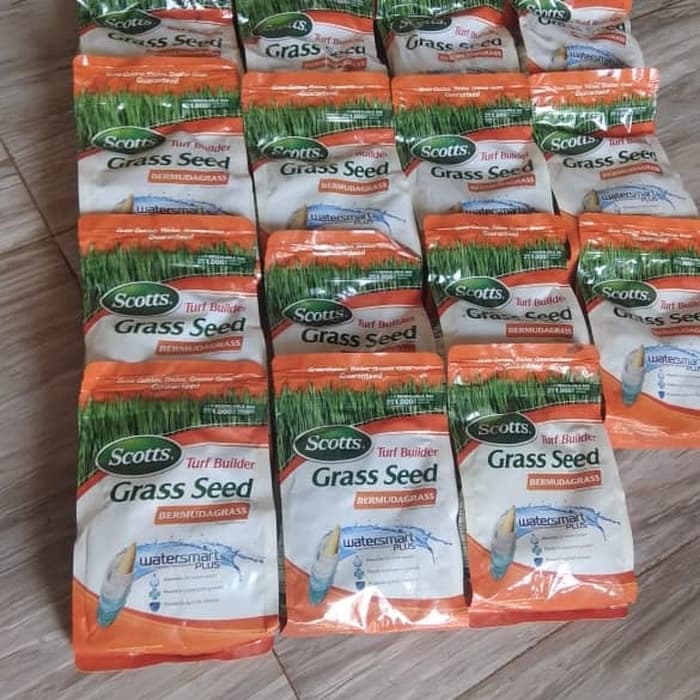 benih biji rumput permuda grass - biji rumput permuda grass