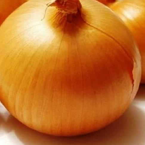 

☑ BAWANG BOMBAY - 500gr ✿