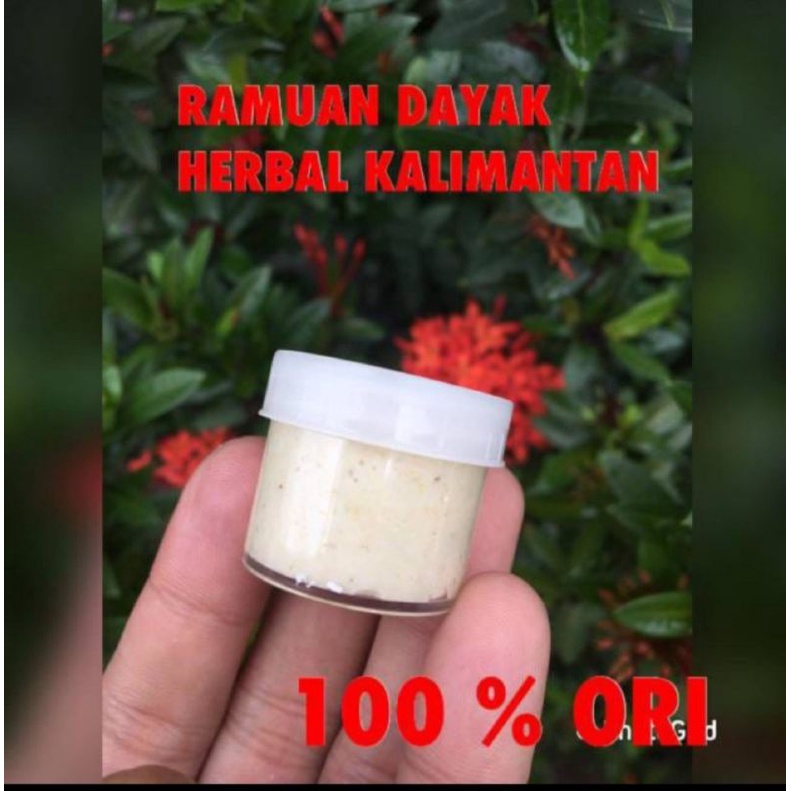 RAMUAN DAYAK ORYGINAL HERBAL/ramuan crem Dayak ,BUJANG asli kalimantan