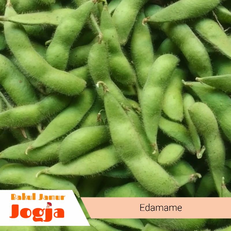 

EDAMAME SEGAR (500 gram)