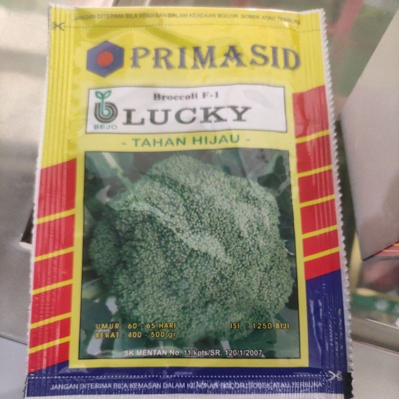 BENIH LUCKY BEJO ( BROKOLI )