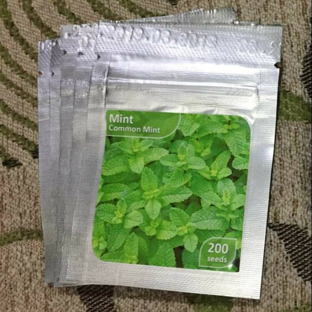 Benih Bibit Daun Mint Common Mint