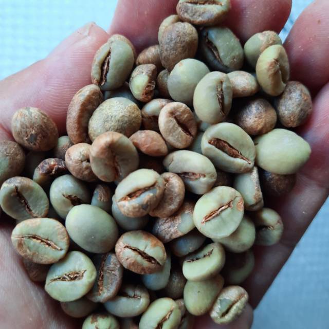 

KOPI ROBUSTA PUPUAN , BALI 1000Gr /FRESH/HONEY /Green bean