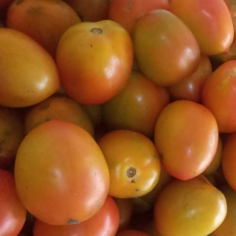 

Tomat Segar 500 gr Sayur Segar Cikarang