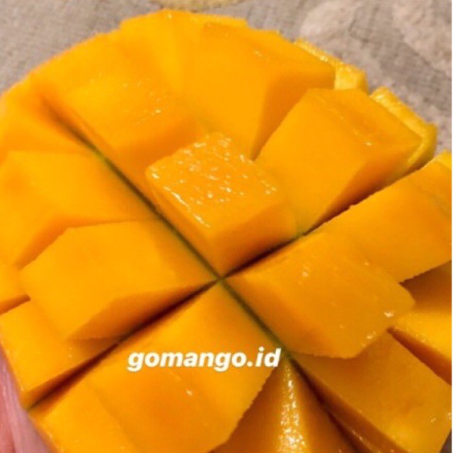 

Mangga Masak Pohon 5kg size sedang