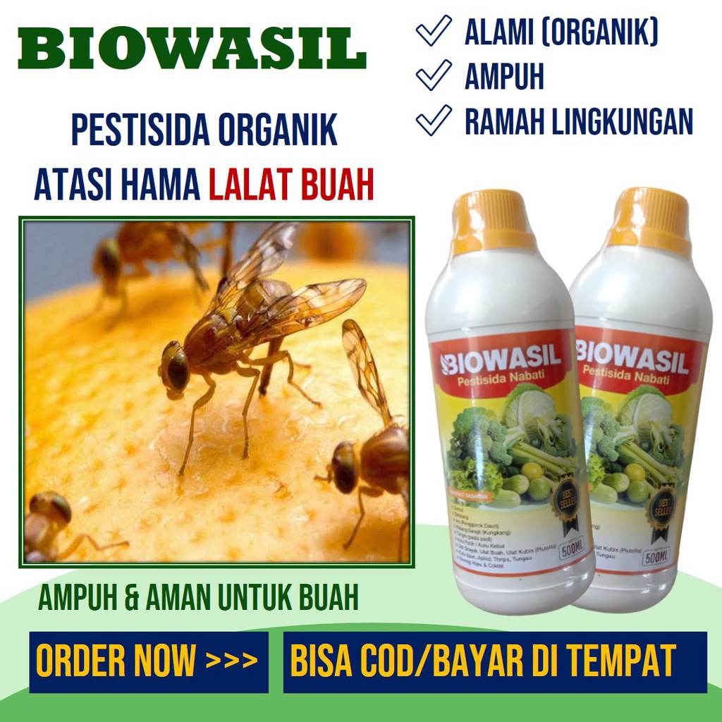 Insektisida Pestisida Organik Obat Hama BIOWASIL Pembasmi Lalat Buah Pada Semua Tanaman - Obat Pemba