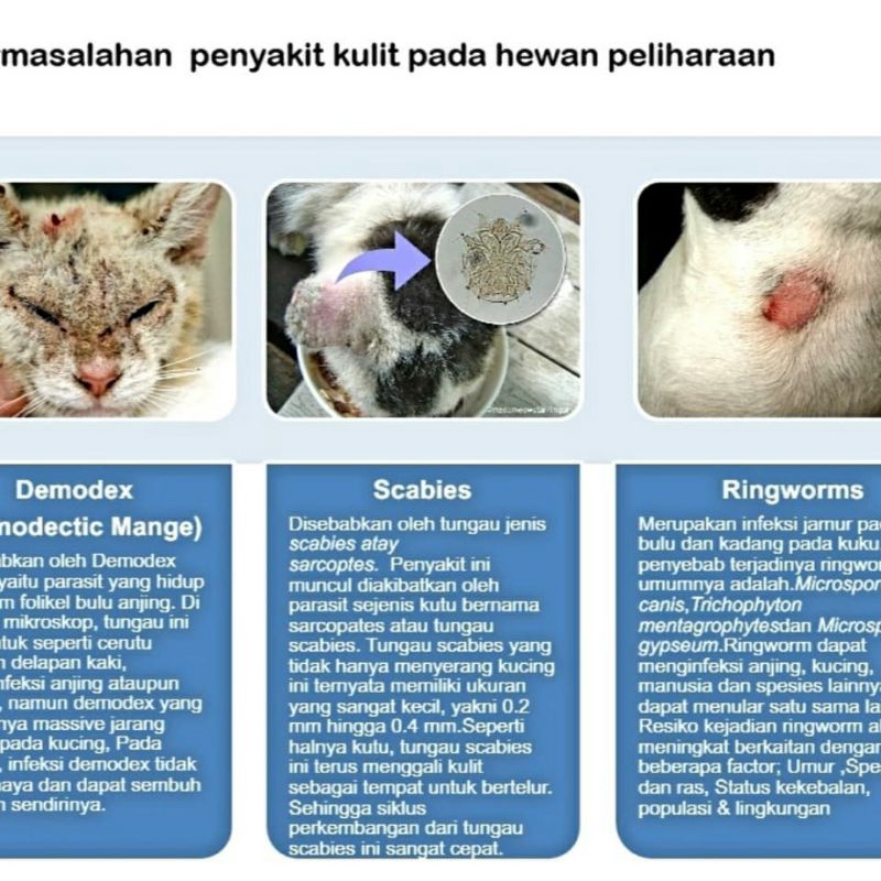 Diatomix obat salep kulit jamur dan parasit kucing dan anjing 10gr / obat salep scabies