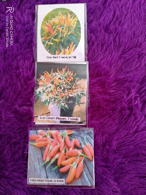 Cabe Rawit Pedas - 15 Benih