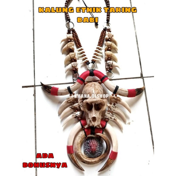 Kalung Taring Babi Dan Tengkorak Kepala Monyet Kera Etnik Dayak Kalimantan Pria Wanita