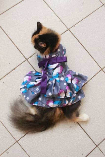 Dress hanbok kupu-kupu dark silver untuk kucing dan anjing / baju kucing murah size S M L XL