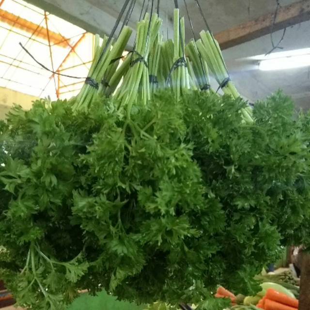 

Parsley