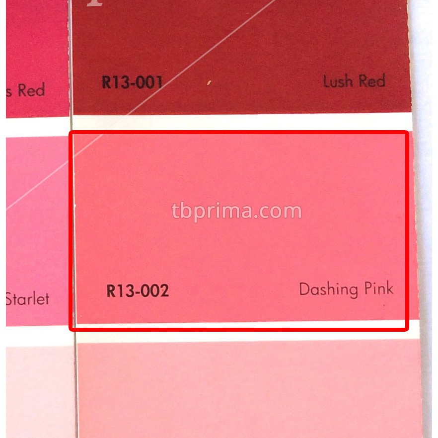 No Drop Tinting R13-002 Dashing Pink 4 kg