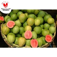 

Buah Jambu Biji Merah 500 Gram