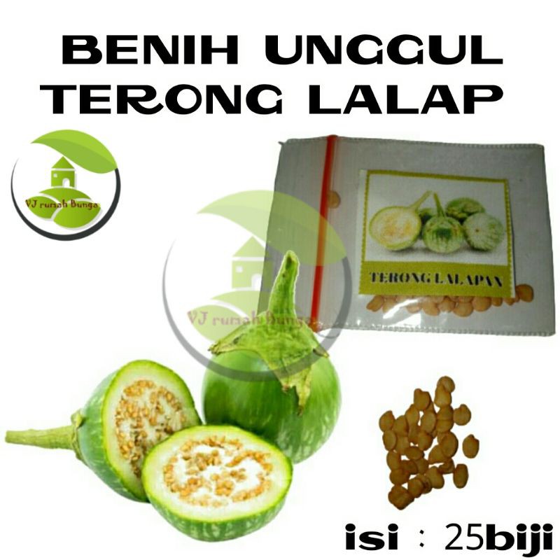 Benih Sayuran Unggul Ratusan Benih Sayur Benih Bibit Sayuran-Terong lalap