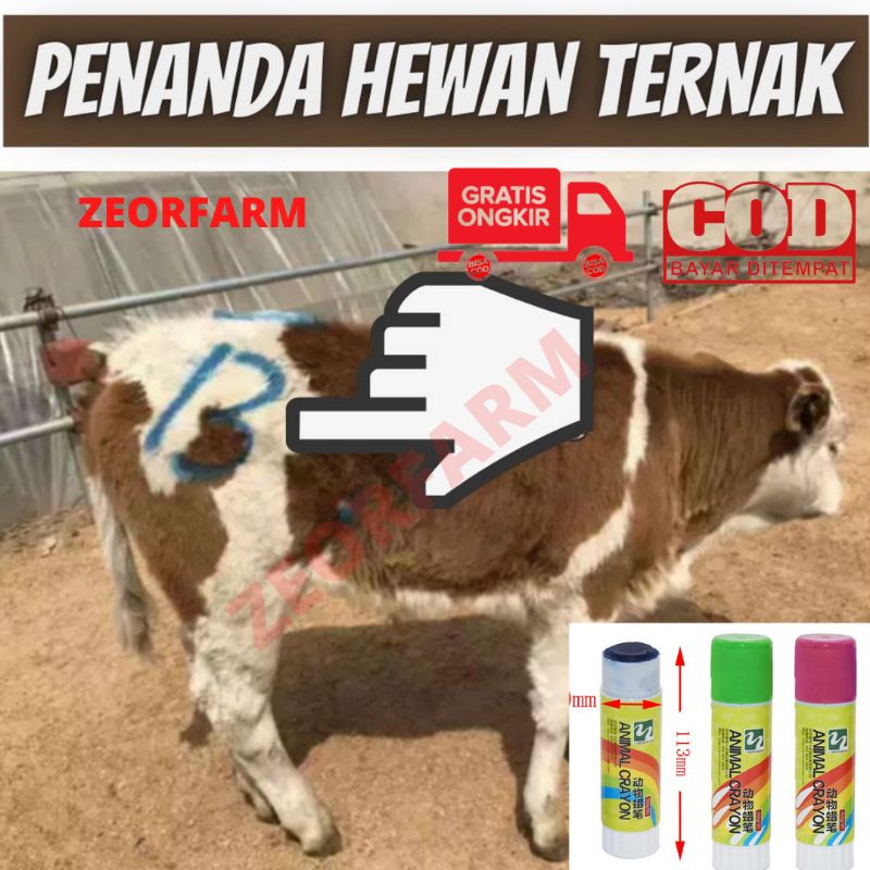 penanda hewan ternak sapi babi kambing aman tanpa efek samping