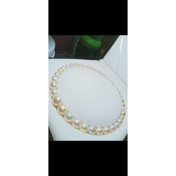 KALUNG FULL MUTIARA LAUT GRADE AAA