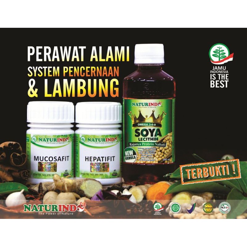 

herbal untk suka kembung perih kepala suka sakit dada berdebar pencemas sering masuk angin