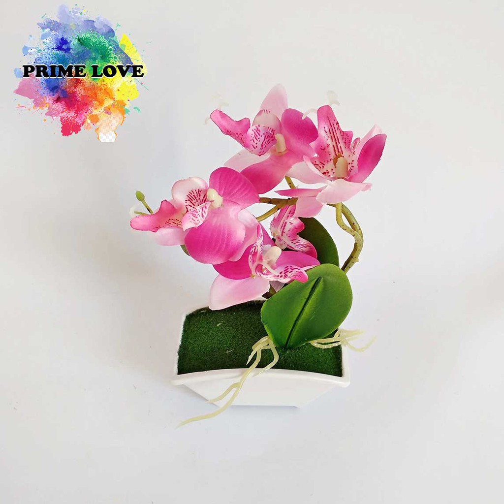 Vas Bunga Anggrek Mini Cantik Bunga Plastik Dekorasi Hiasan Rumah dan Kantor - VB23
