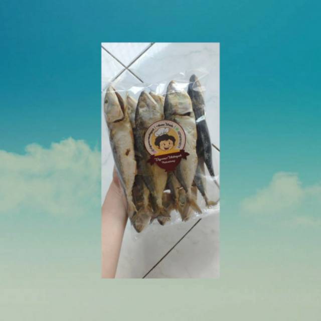 

10 Pcs -- Ikan Asin Peda Mentah
