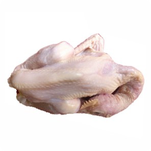 

Ayam Pejantan / Ekor / 600gr #Daging #Ayam #Segar #Online#Bandung#Cimahi