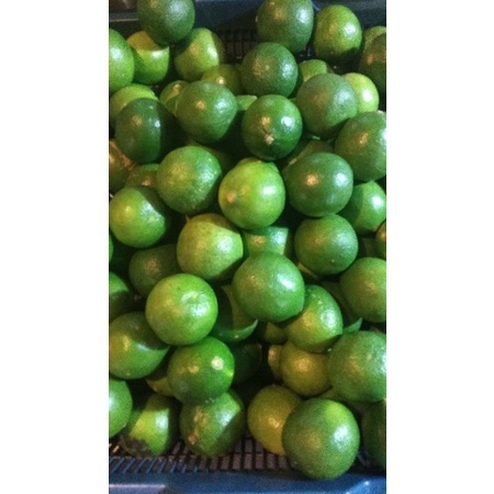 

jeruk nipis,jeruk segar,jeruk fresh 1pack 250gram
