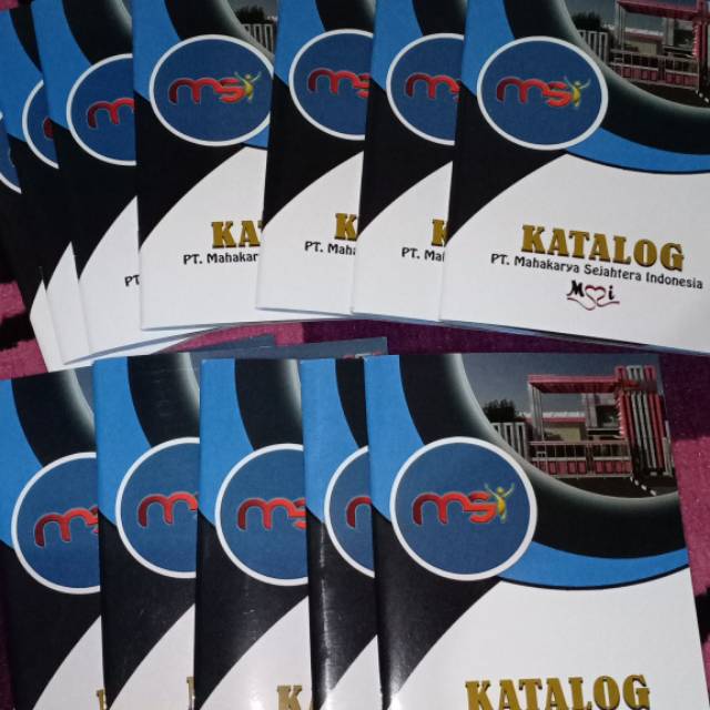 KATALOG MSI