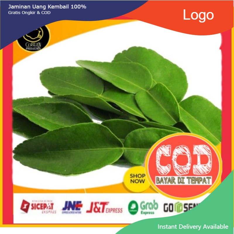 

Daun Jeruk 100g Rempah Herbal Sayuran Fresh Sayuran Segar Sayuran Organik Sayuran Online Terlaris