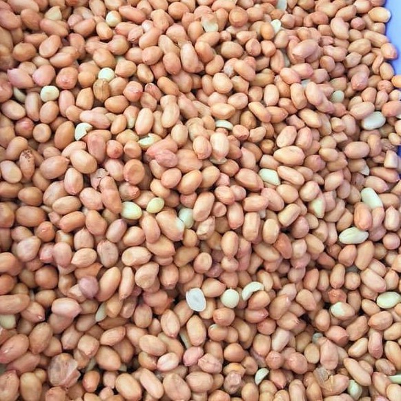 Kacang Tanah Kulit Ari Mentah 500 g