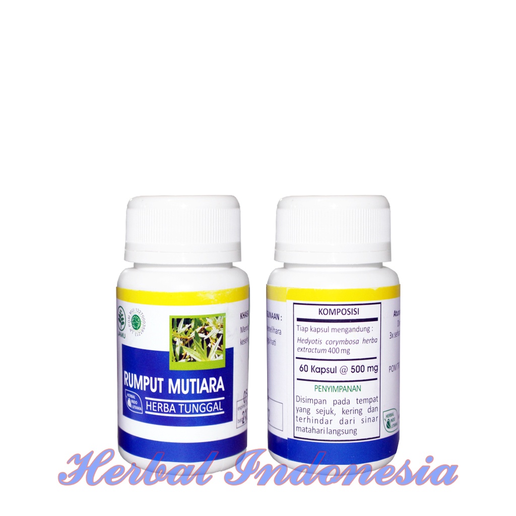 Kapsul Rumput Mutiara Isi 60 - Herbal Penyakit Radang Gondongan, Bisul dan Borok