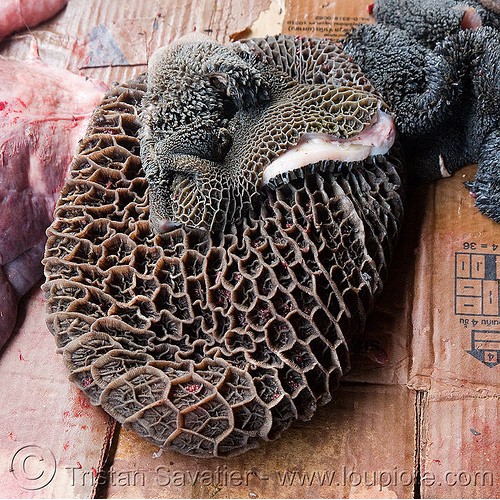 

BABAT SAPI / BABAT HITAM ( Beef BLACK Tripe / CALF OFFAL )