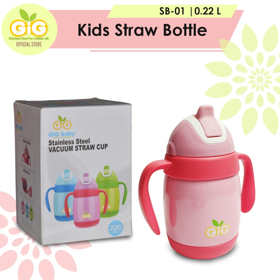 Gig Baby Vacuum Kids Straw Bottle 220ml