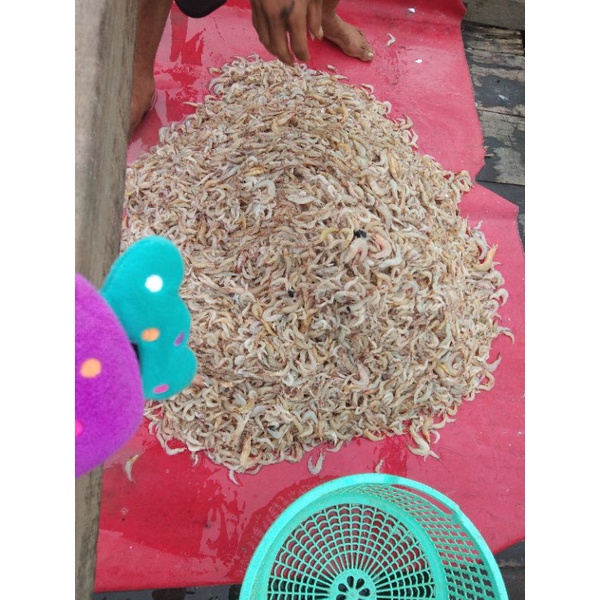 

ikan asin sepo+gulama belah asin+gulama tawar