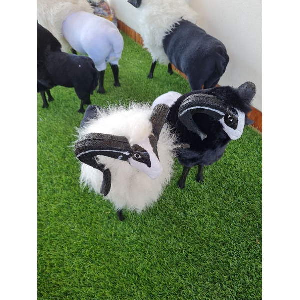 MINIATUR DOMBA GARUT