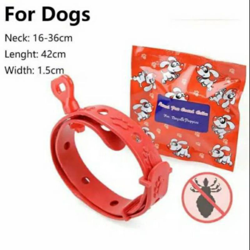 Kalung kutu Anjing size m Anti Kutu Cat Dog Collar Flea Tick