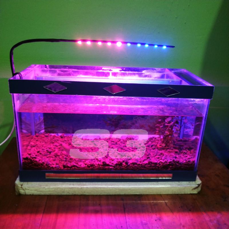 Lampu Aquarium Lampu Aquascape Pink Biru 10 led Lampu Soliter Cupang Lampu Aquarium Murah Lampu Aqua