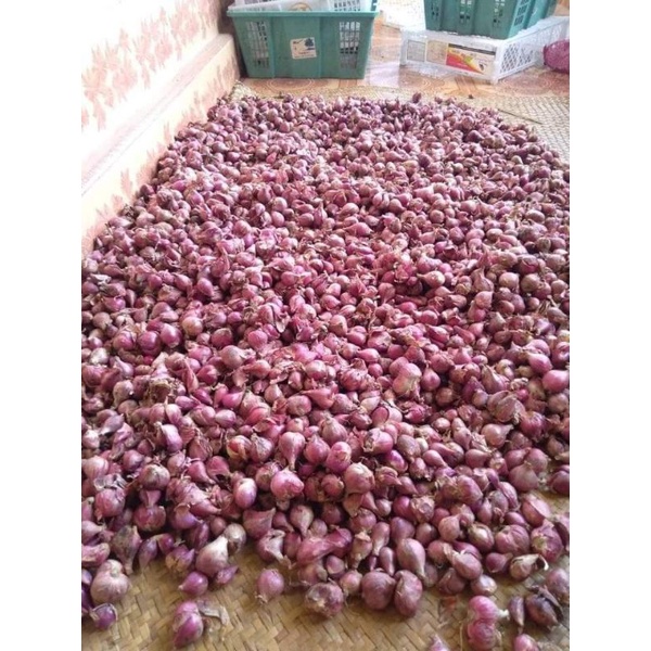 

1 KG BAWANG MERAH BREBES KERING SUPER