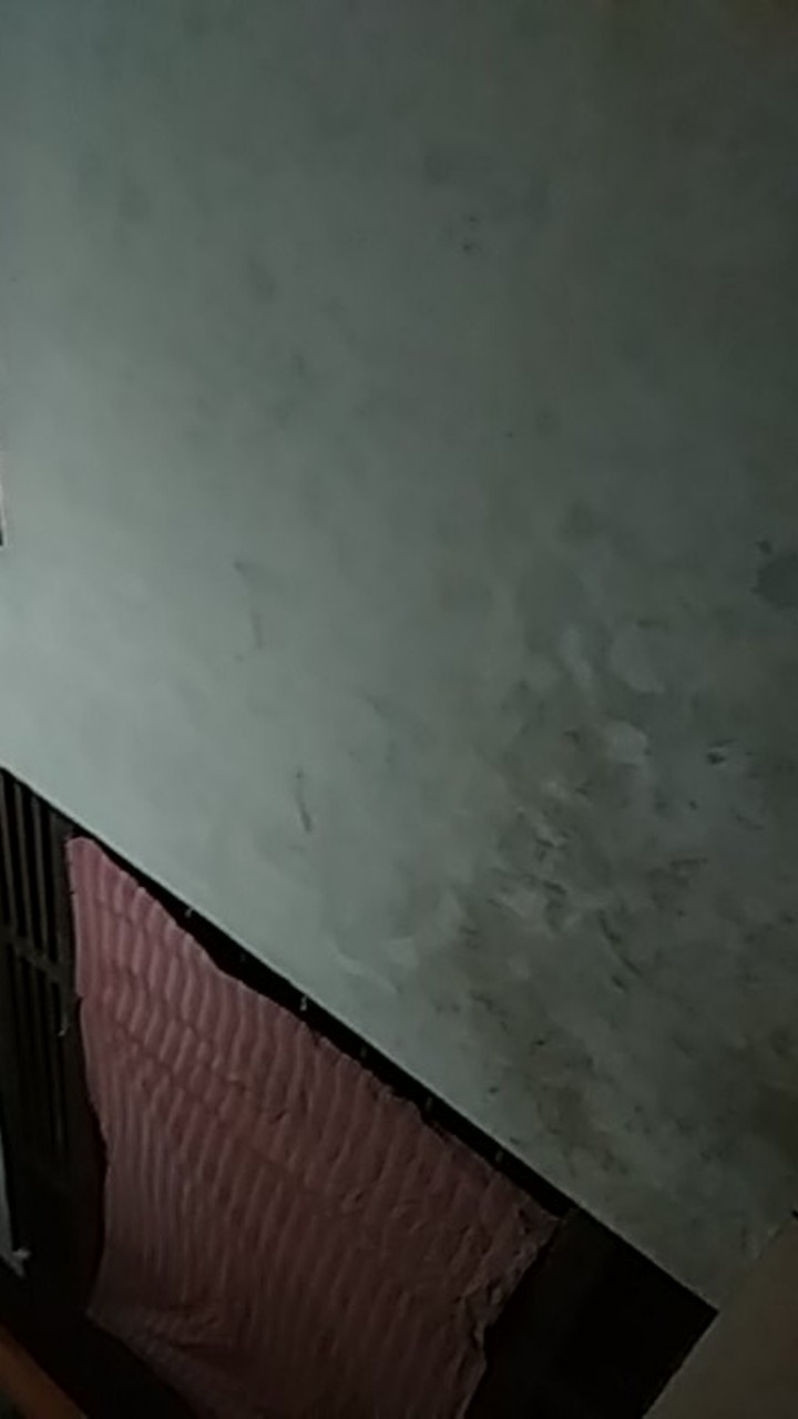 Maura Couple - Sania Ruffle Batik Couple Ori Ndoro Jowi Dnt Garansi Termurah Shopee-couple Tarantula