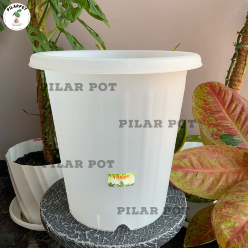 pot bunga tanaman tinggi yogap YPT 30 bening transparan - bahan tebal