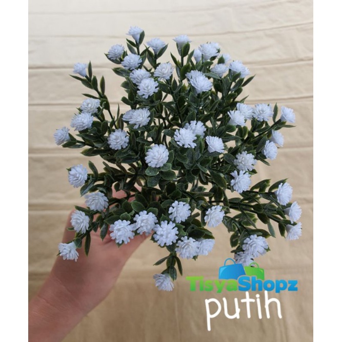 Baby Breath Mini Satuan [ 1 Pc Tanpa Pot ]