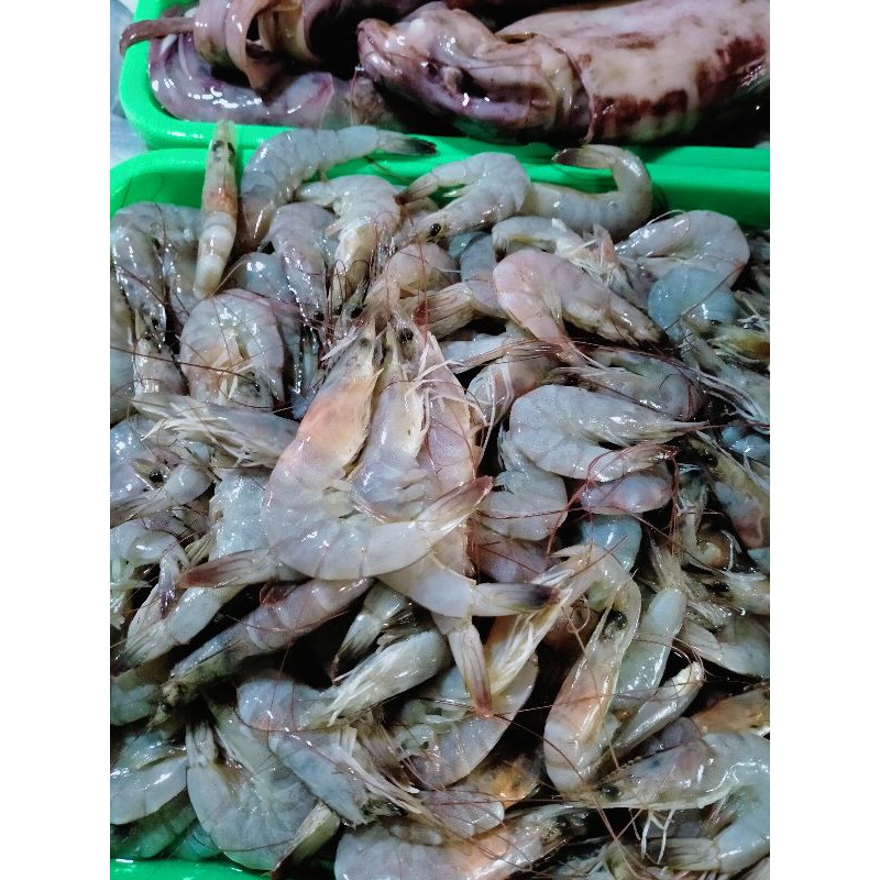 UDANG SEGAR (kecil)