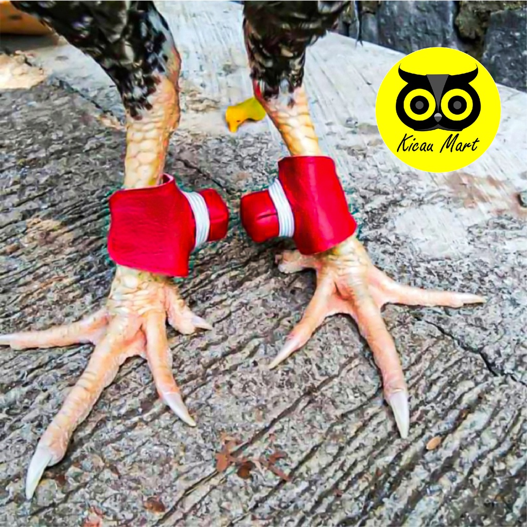 Bungkus Jalu Taji Kaki Ayam Bangkok Aduan Sabuk Bahan Kaleb Sarung Pelindung Pembungkus Jalu Ayam Bangkok Tarung Laga Aduan
