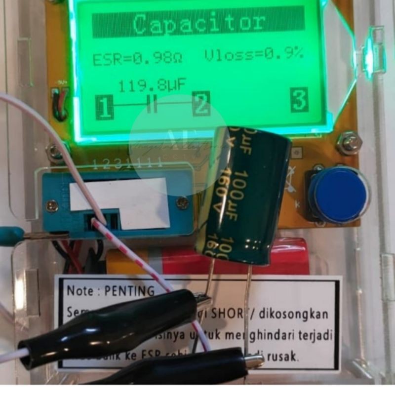 Elco 100UF 160V