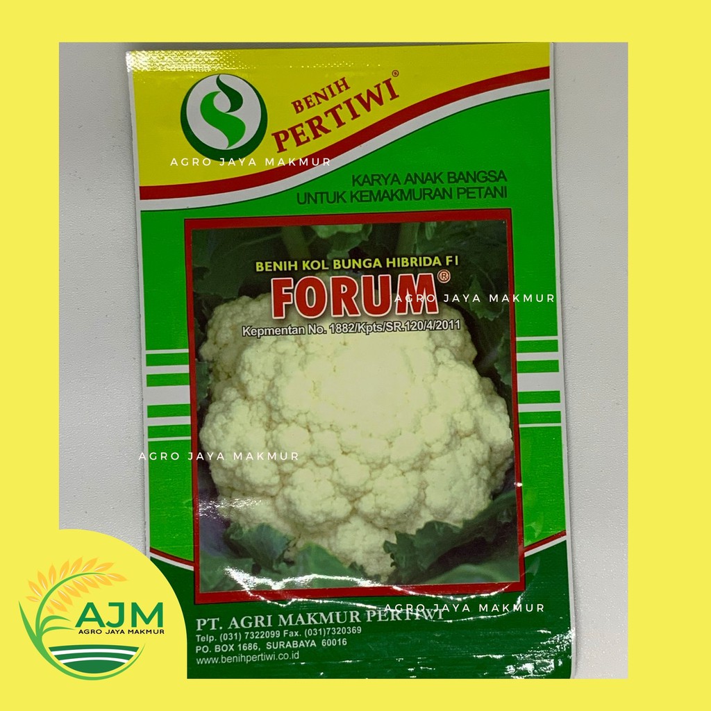 Benih Bunga Kol/ Cauliflower Forum Hybrida F1 (10 gram)