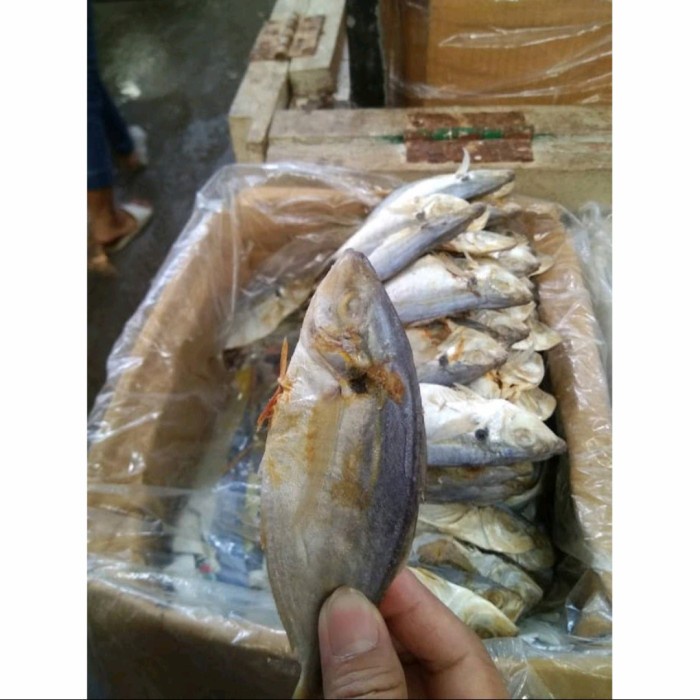 

IKAN ASIN SELAR 250gr