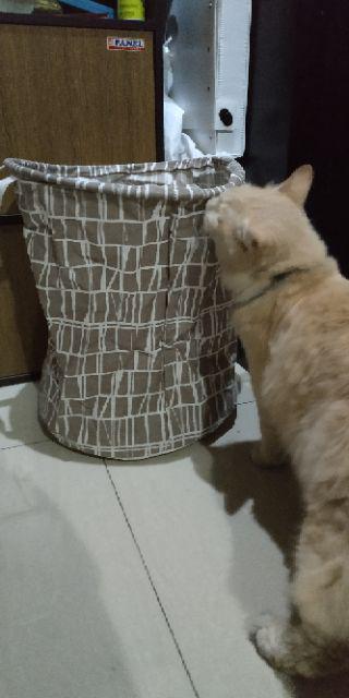 Keranjang Multifungsi Bisa Untuk Tempat Pakaian Dan Mainan