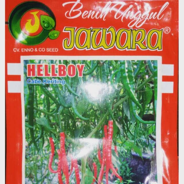 Benih Cabe Merah Keriting HELLBOY Jawara