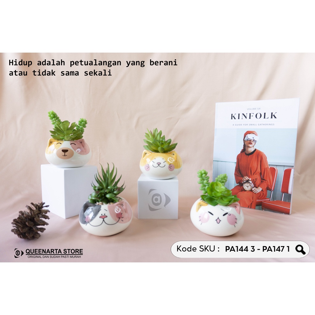 Queenarta Sukulen Mini Jenis Tanaman Kaktus dan Bunga Hias Plastik Pot Keramik Unik Buat Dekorasi Ru
